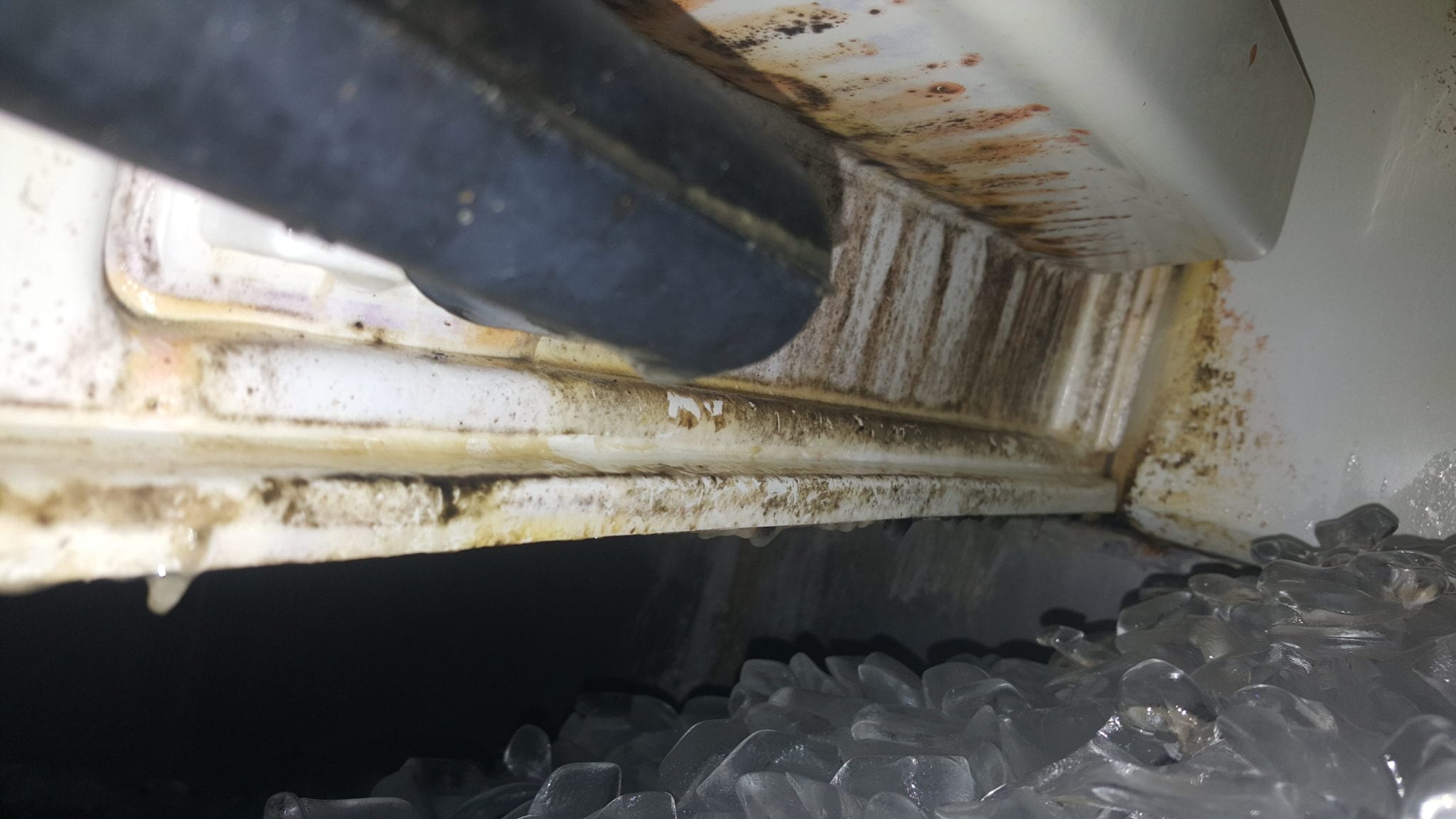 Is this mold in my ice maker? : r/Mold